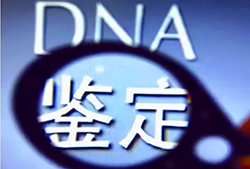 深圳怎么选择正规亲子鉴定中心，深圳正规的DNA亲子鉴定办理费用
