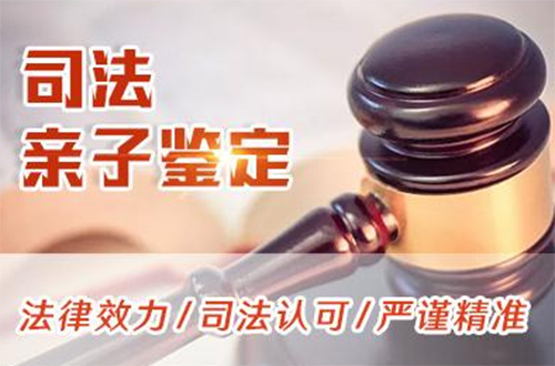 深圳司法DNA亲子鉴定怎么做,深圳司法亲子鉴定准不准