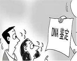 深圳司法DNA亲子鉴定怎么做，深圳司法亲子鉴定准不准